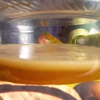 فروش قارچ کامبوجا ونوشیدنی چای کامبوجا