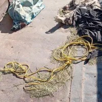 وسایل تریلی|قطعات یدکی و لوازم جانبی|شراء, |دیوار