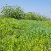 فروش-زمین-مسکونی