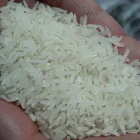 برنج هاشمی خوش‌عطر