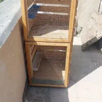 قفس پرندگان