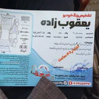 سمند se