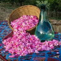تور سه و نیم روزه کاشان