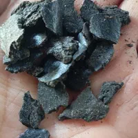 خوراک دام و طیور کنجاله سیاه دانه و کنجاله کنجد|لوازم جانبی حیوانات|تهران, آرژانتین|دیوار