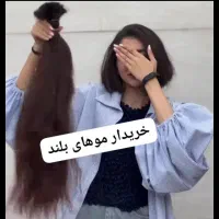 مو خرمایی