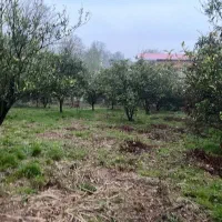 فروش-زمین1800متری-قابل-ساخت-نزدیک-رودخانه