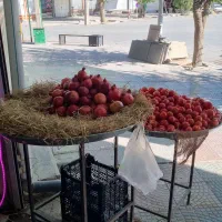 وسایل و تجهیزات میوه فروشی|فروشگاه و مغازه|فیروزآباد (فارس), |دیوار