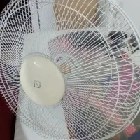 پنکه|پنکه و تصفیهکنندهٔ هوا|قم, باسکول|دیوار