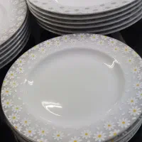 سرویس چینی زرین|ظروف سرو و پذیرایی|رباط‌کریم, رباط‌کریم|دیوار