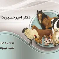 دامپزشک ودامپزشکی در محل وکلینیک|خدمات آرایشگری و زیبایی|همدان, |دیوار