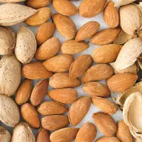 فروش بادام تازه باغ