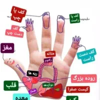 انواع حجامت به روش سنتی وچینی