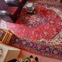 فروش فرش طبیعی|فرش|خوی, |دیوار