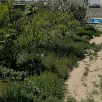 باغچه-ویلایی-500-متری-چهارباغ-عرب-آباد