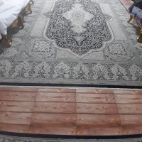 یک  عدد فرش ۱۲متری