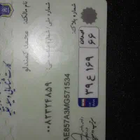 مدارکم گمشده کارت سوخت و ماشین مژدگانی داره|اشیا|شیراز, گل سرخ|دیوار