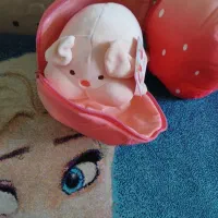 عروسک سوپرایزی