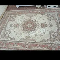 تعدادی فرش|فرش|بندرعباس, |دیوار