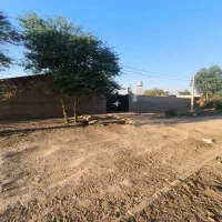 دامداری|فروش دفتر صنعتی، کشاورزی، تجاری|سوسنگرد, |دیوار