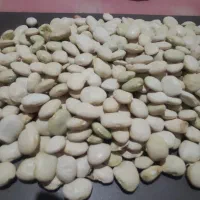 لوبیا سفید