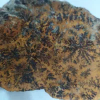 سنگ شجرطلایی