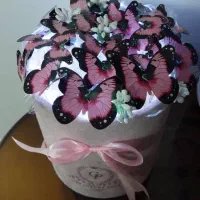 باکس پروانه