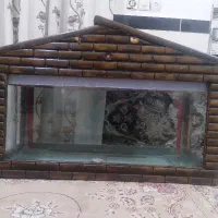 اکواریوم طرح کلبه