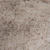 برنج فجر گرگان|خوردنی و آشامیدنی|کاشان, درب اصفهان|دیوار