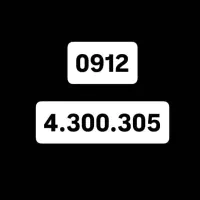 0912.4.300.305