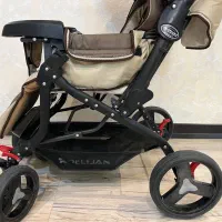 کالسکه دلیجان|کالسکه و لوازم جانبی|یزد, |دیوار