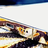 آیفون 14 پرو باتری ۱۰۰|موبایل|سبزوار, کاشفی شمالی (دادگستری)|دیوار