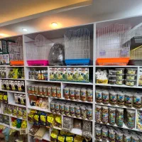 پت شاپ طوطی سانان (پرنده فروشی)|لوازم جانبی حیوانات|بابل, |دیوار