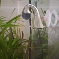 اکواریوم ریملس سوپر کلیر پلنت|ماهی|بروجرد, |دیوار