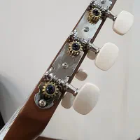 گیتار یاماها c40 اندونزی|گیتار، بیس، امپلیفایر|تهران, سردارجنگل|دیوار