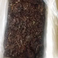 کشمش عالی ودرجه یک مخصوص ابگیری