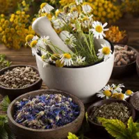گیاه درمانی و دمنوش های گیاهی