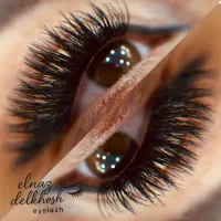 آموزشو خدمات کاشت هیدن|خدمات آرایشگری و زیبایی|رشت, انصاری|دیوار