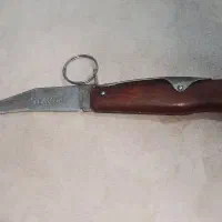 چاقی اوکاپی