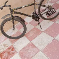 دوچرخه ۲۶|دوچرخه، اسکیت، اسکوتر|هریس, |دیوار