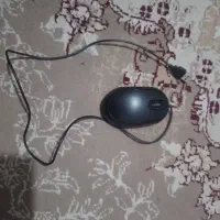 موس ارزون و مفت