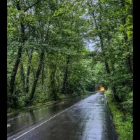 مهمانسرای مهمانپذیر تهرانی /هتل سویت اتاق اجاره ای|اجارهٔ کوتاهمدت آپارتمان و سوئیت|لاهیجان, گلستان|دیوار