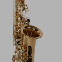 ساکسیفون آلتو سوزوکی طلائی|سازهای بادی|قزوین, |دیوار