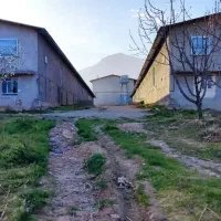 مرغداری گوشتی ۲۰۰۰۰ فول اتومات