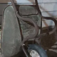 فرقون