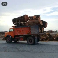 خرید انواع درخت به قیمت مناسب|خدمات باغبانی و درختکاری|سراب, |دیوار