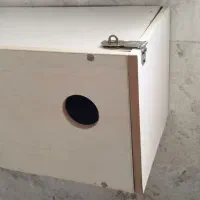 لانه پرنده