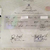 تحصیلات