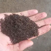 چای/چای شکسته/چای خارجی