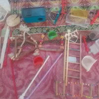 قفس|لوازم جانبی حیوانات|تبریز, |دیوار