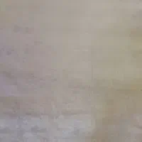 پالاز موکت|موکت|دوگنبدان, |دیوار